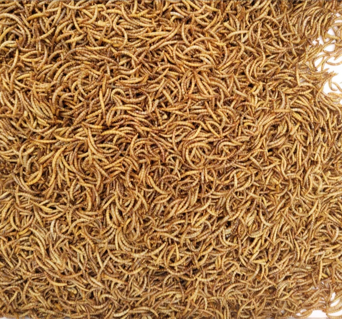 Сушеный мельница с высоким содержанием белка сушеный для небольших пищевых продуктов домашних животных