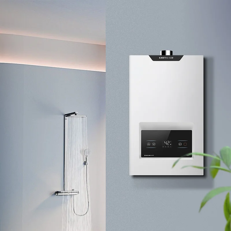 Electric 10L Wall-Hung Gas Water Heater with Stainless Steel Tankless for Central Domestic Hot Water Heating