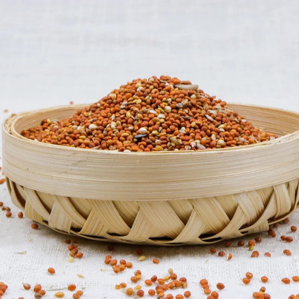 
Export Chinese Natural Organic Red Millet For Bird Food 