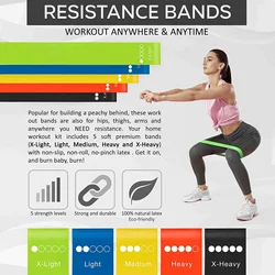 12 Inch Set of 5 Bands Physical Therapy Exercise Resistance Loop Band with Carry Bag
