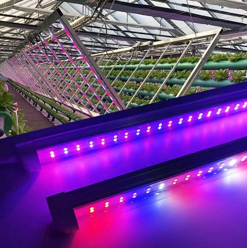 customized indoor 6000k full spectrum led strip tube grow bar light for mushroom greenhouse