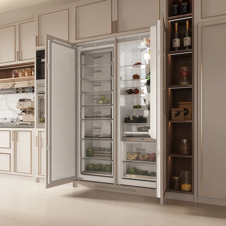 Stylish Integrated Refrigerator with Energy Efficiency Features