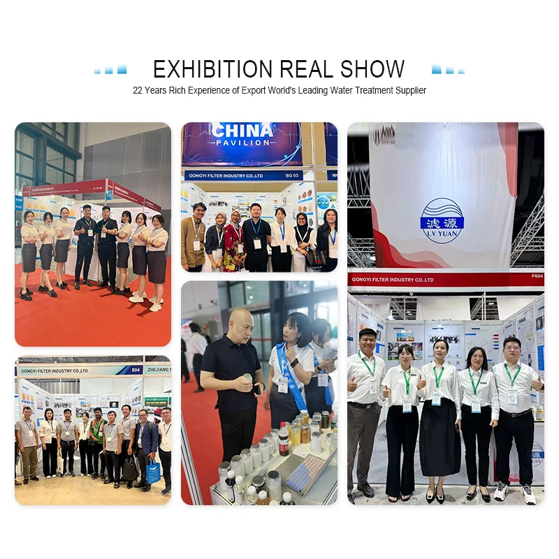 Coal Processing to Produce Special High Mmolecular Weight Negative Charge Anionic Polyacrylamide