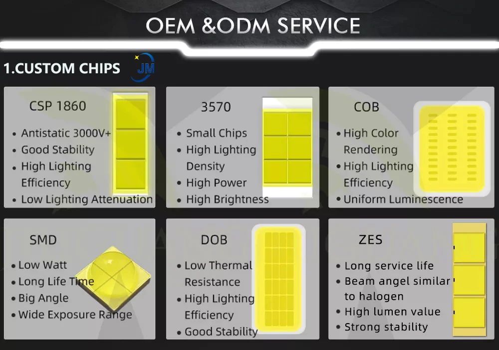 JM Custom chips
