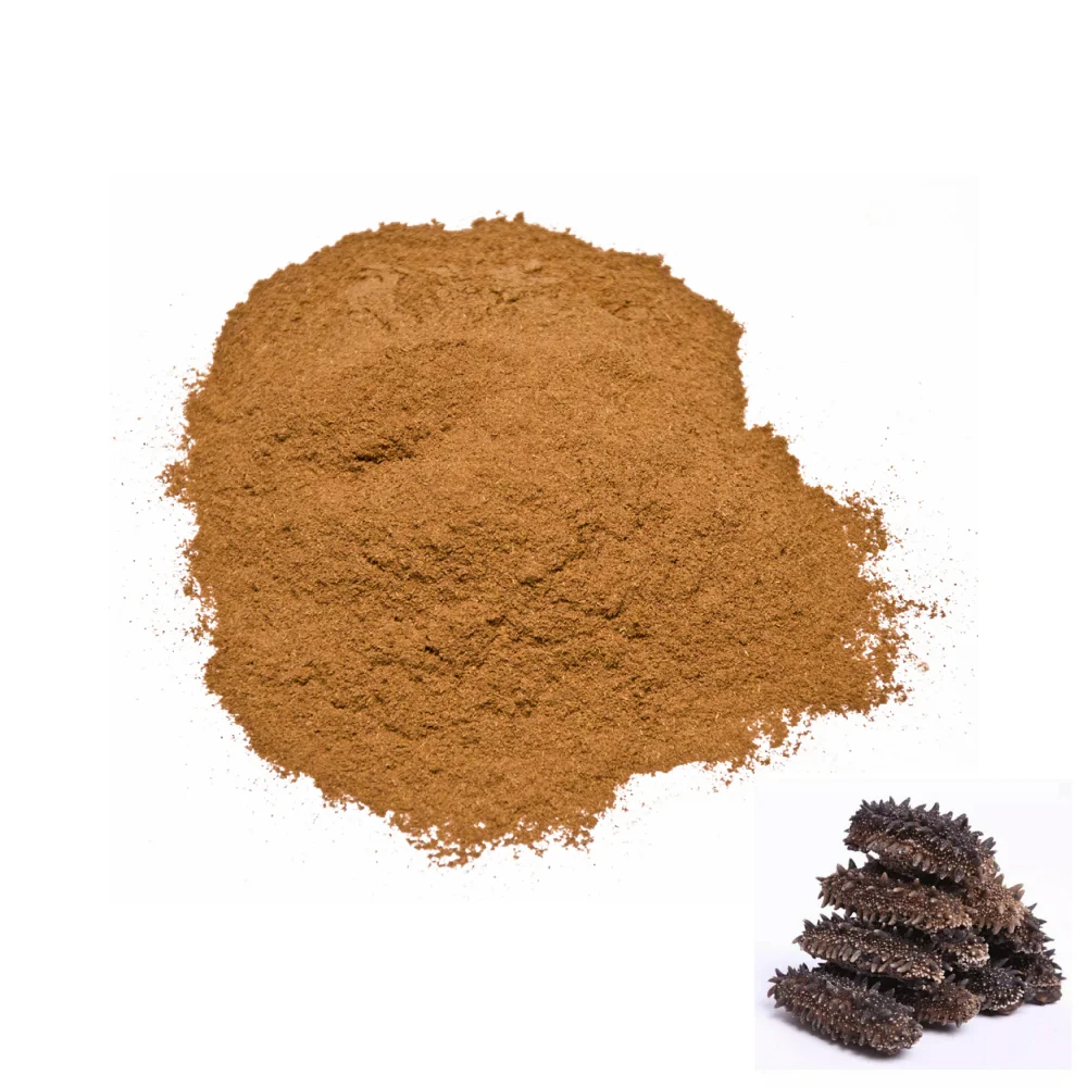High quality Sea Cucumber Peptides powder 90% Sea Cucumber Extract healthcare supplement Sea Cucumber Peptides powder for sale