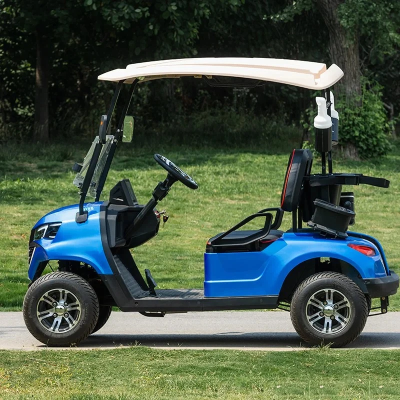 New Design golf electric car 2 Cortex seater golf club application golf car with Front Basket