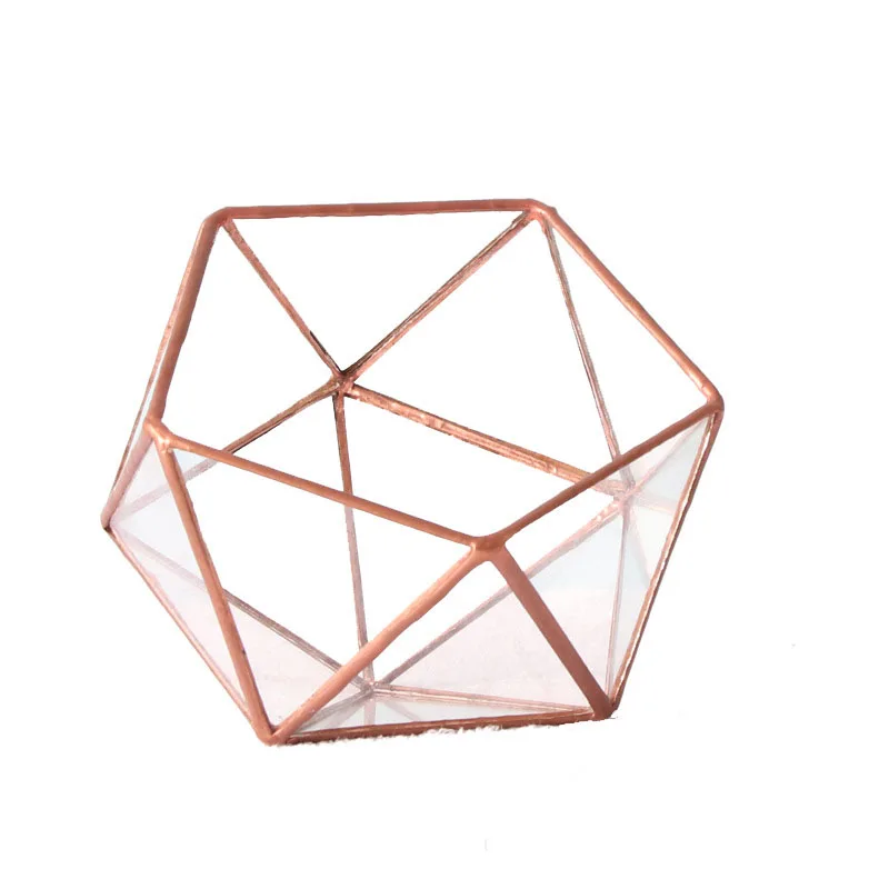 DS Bowl Shape Geometric Glass Terrarium Half Ball Pentagon Planter Tabletop Miniature Centerpiece for Succulents Air Plants Gift