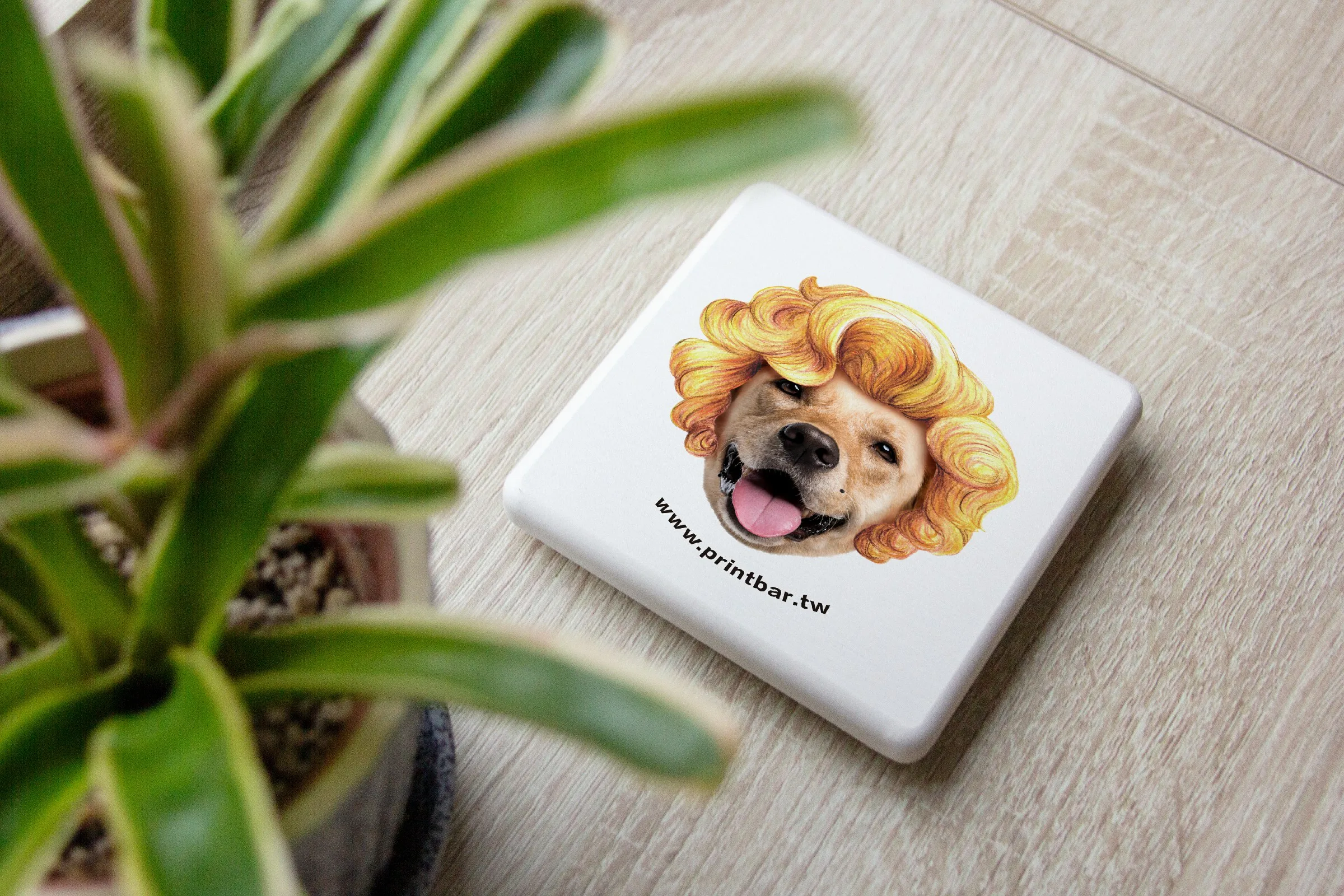 High Quality Uv Resistant Mosaic Square Water Absorption Ceramic Coaster- Star Of Pets