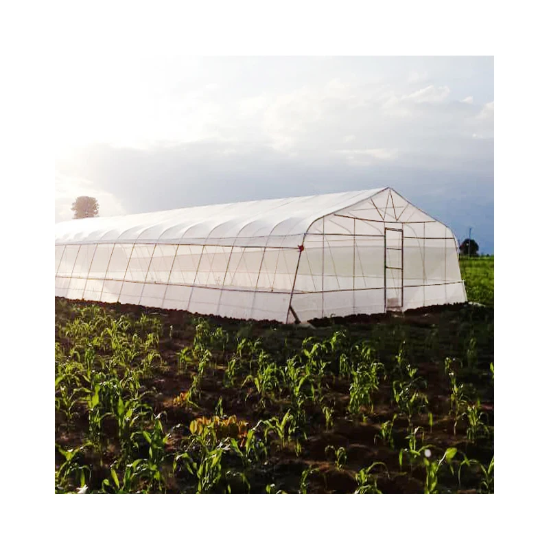 Low Price High Quality Eco-Friendly Green House/Greenhouse Agricultural Film Plastic Uv Film Greenhouse Agriculture
