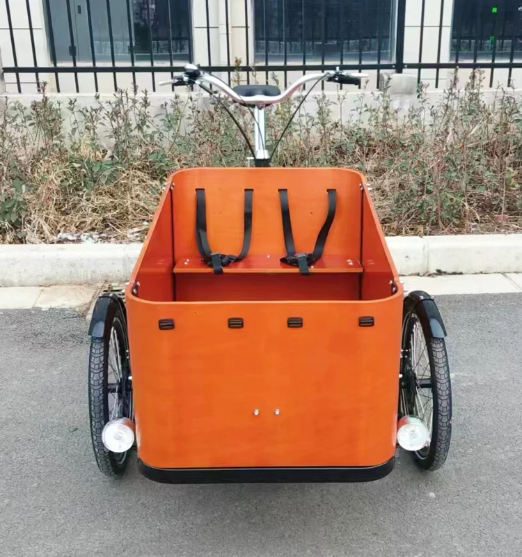 2023 семейное детское сиденье с толстыми шинами трехколесный электрический велосипед Электрический Грузовой Велосипед электронный собакой и кошкой