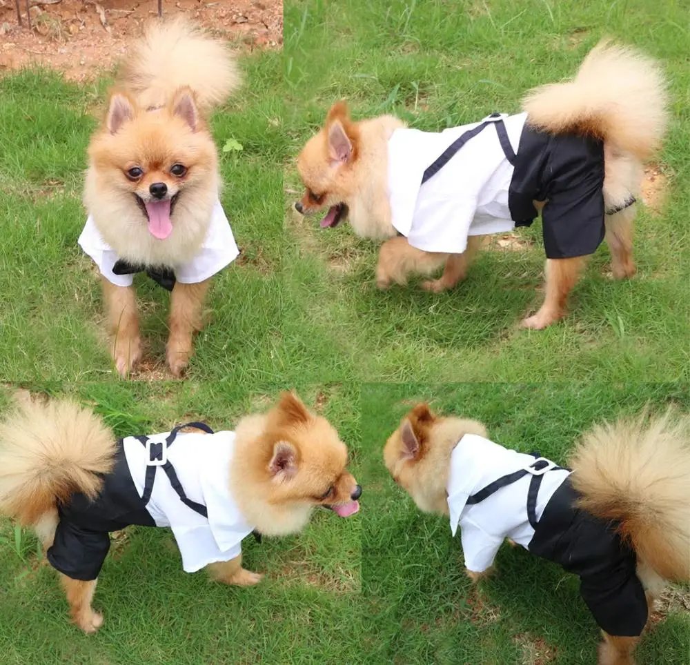 Gentleman Dog Clothes Suit Boy Dog Wedding Dress Tuxedo Party Pet Clothing Outfit Poodle