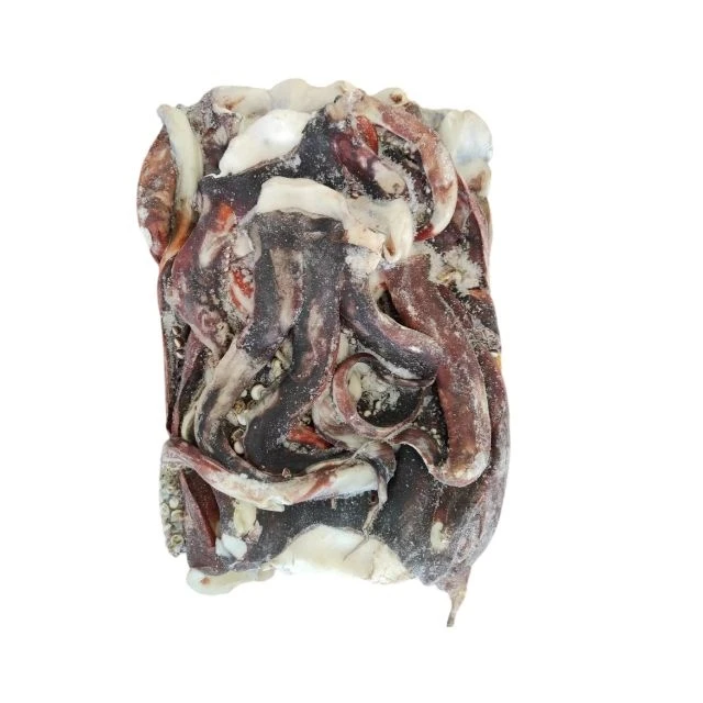 Frozen Giant Squid Long Sexual Tentacle Squid Head Tentacle Price