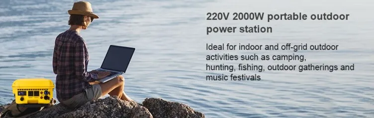 220V 2000W