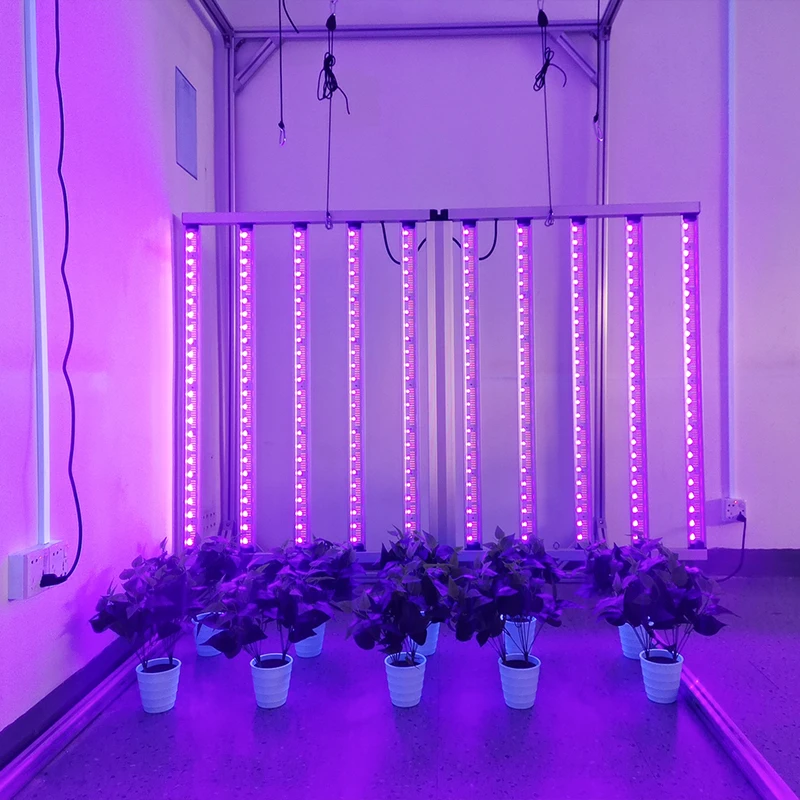 LEDILAND Samsung Lm281B Hydroponic Plant Grow Led Light 1000w Indoor Foldable Full Spectrum 660nm Uv Ir 1000 Watt Led Grow Light