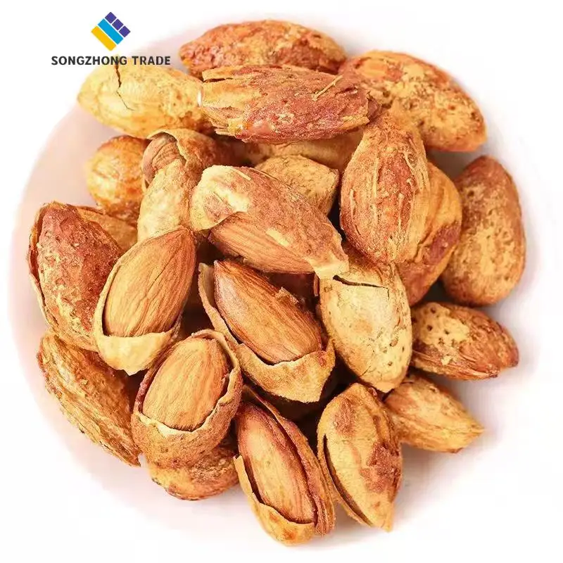 China Cheap Price Roasted Almond in Shell