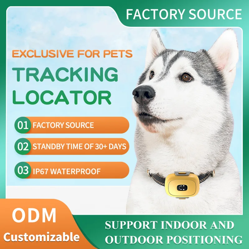 Pet Activity Monitor 4G GPS Tracker Measure Pet Step Historical track Dog Cat Health Monitor with WIFI