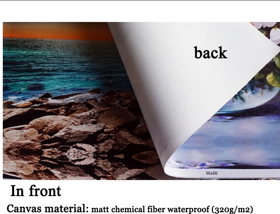 Wall Decor Peacock Art Modern Print Prints Home Contemporary Oil Paintings Animal Poster Printing Canvas Painting