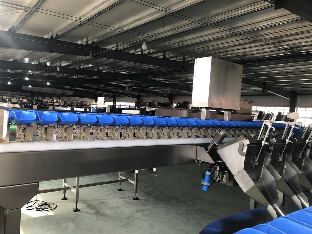 hot sale fresh fish grader frozen shrimp weight grading machine