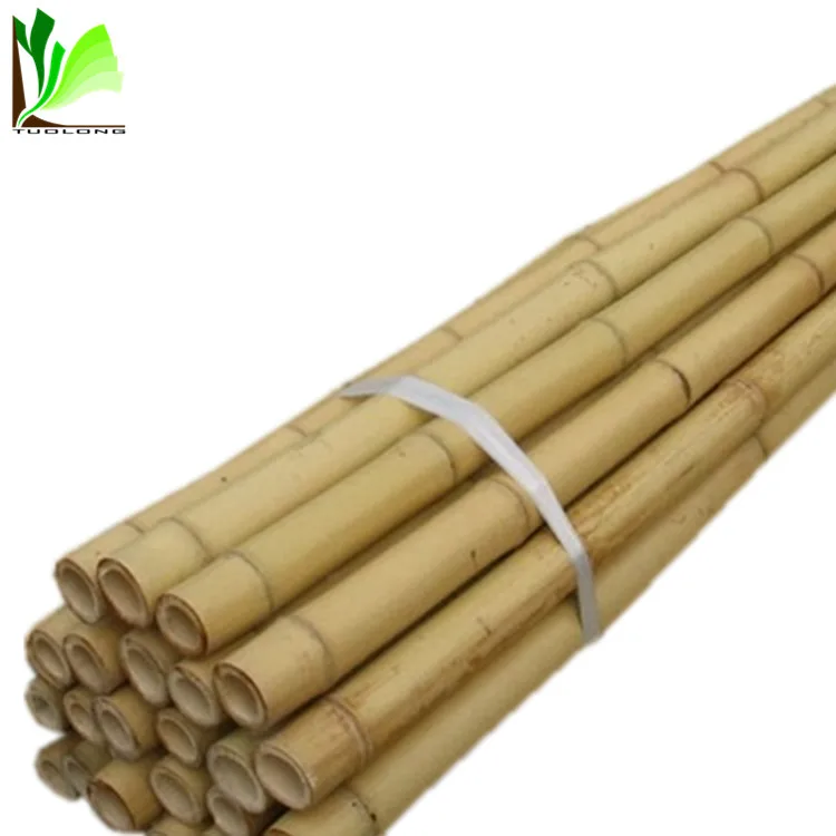 Treated Bamboo Flag Poles