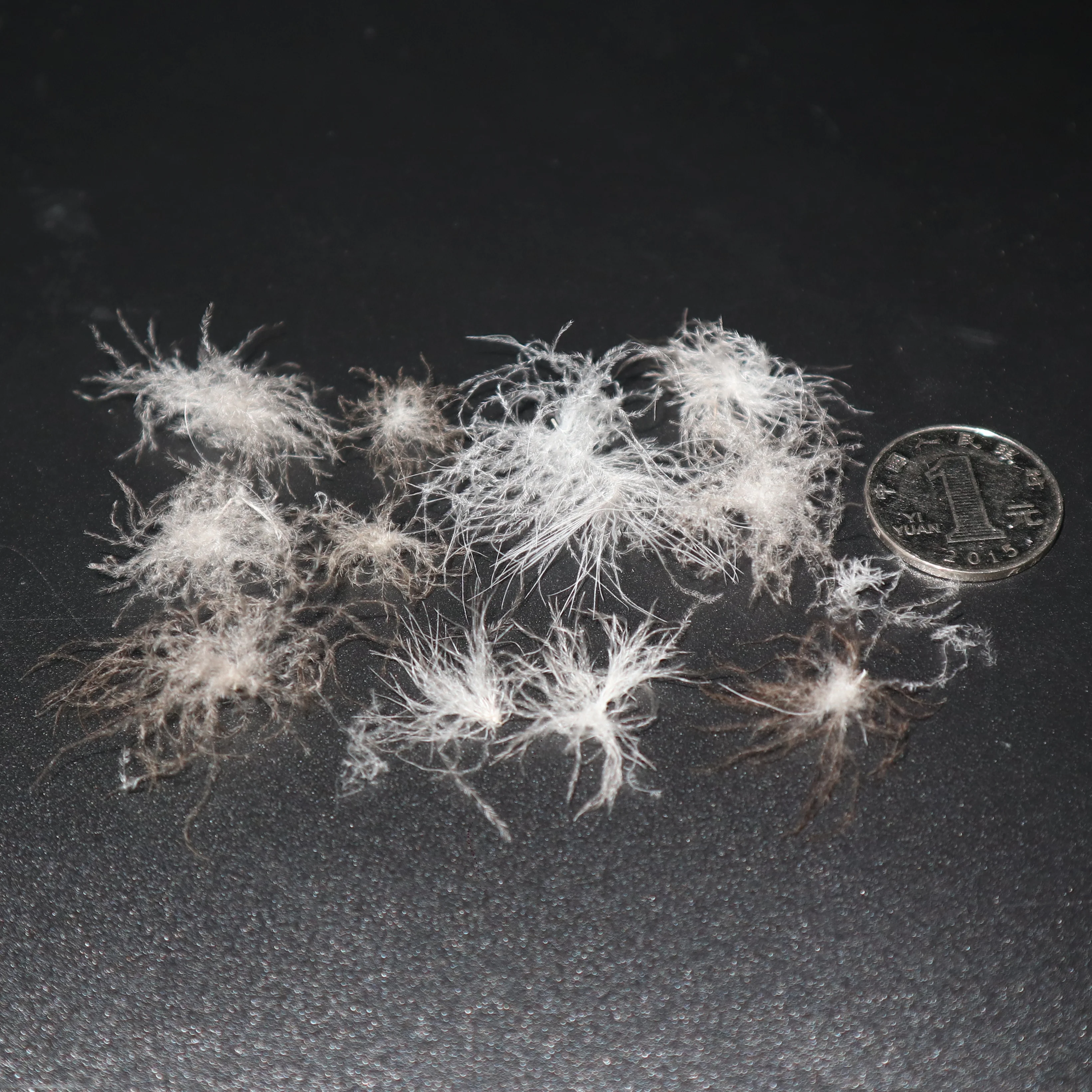 
Wholesale 93% Washed Grey Lining Goose Down Material 