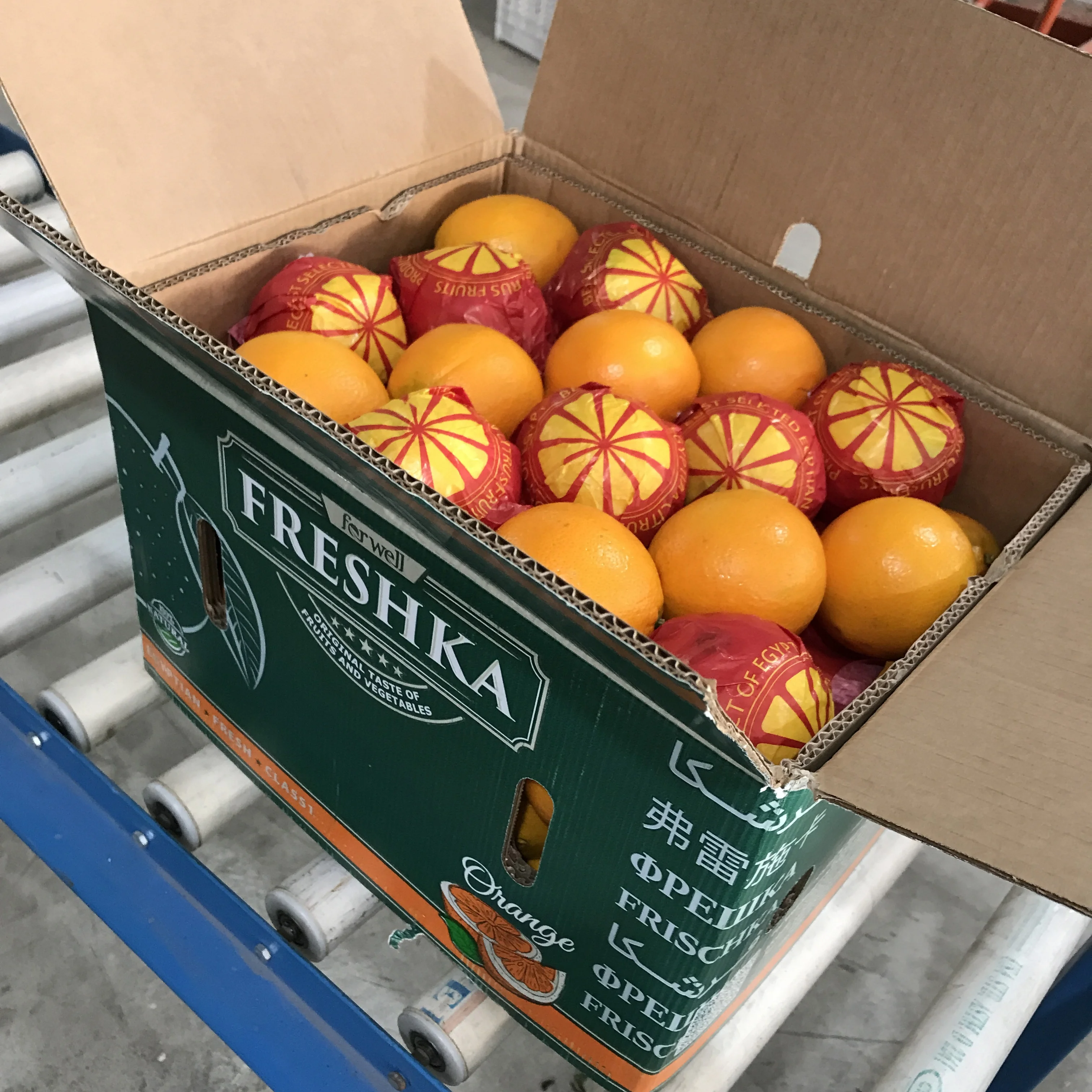 Top Quality Navel Orange From Egypt for export