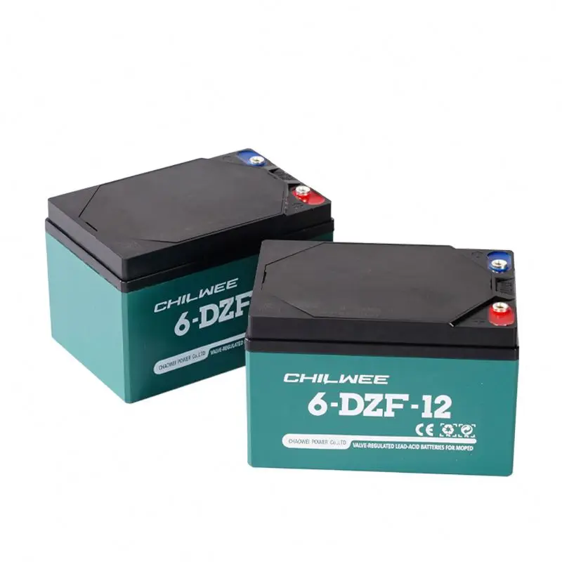 Customized Deep Cycle Batteries 48v 12ah Sealed E-bike Lead Acid Battery