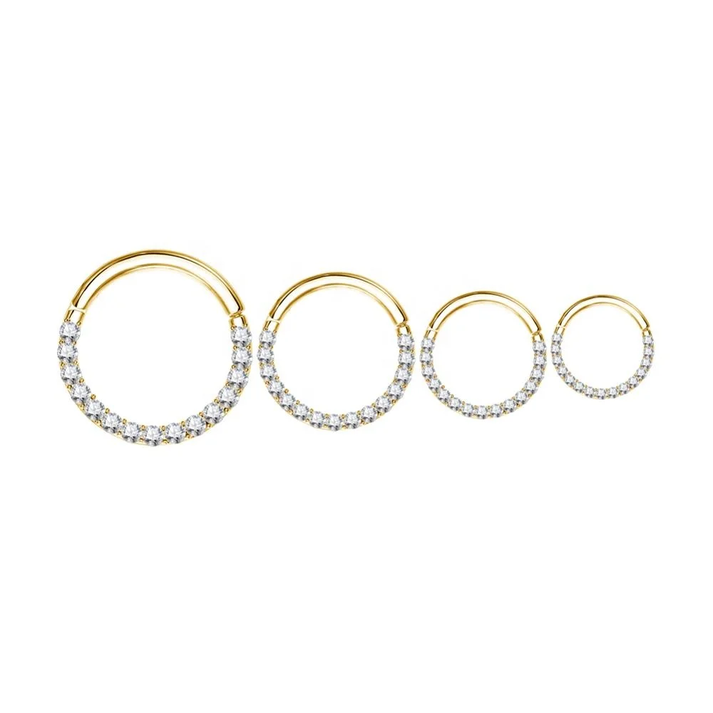 PVD Gold 316L Stainless Steel Gems Front CZ Clicker Segment Ring Body Piercing Jewelry