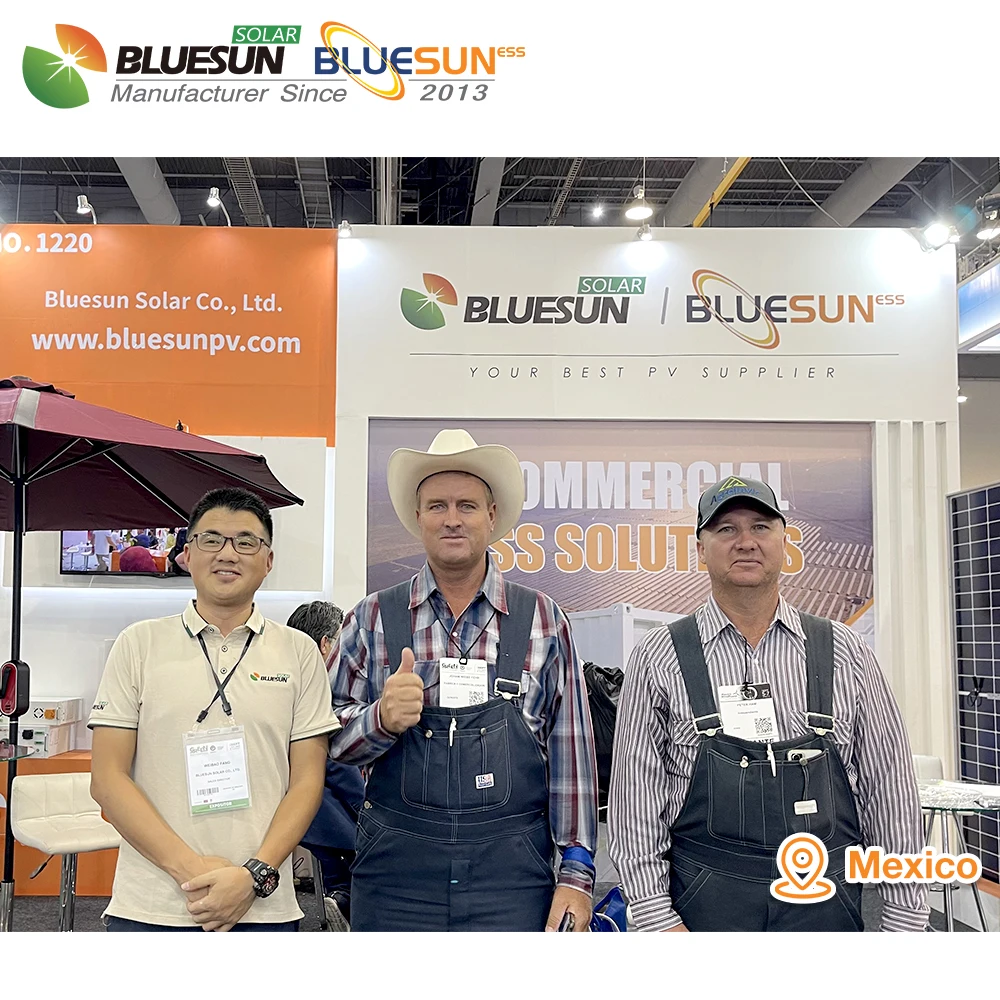 Bluesun Solar Panels 550 watt 590 watt 600w Topcon Bifacial Double Glass Panel Solar PV module price