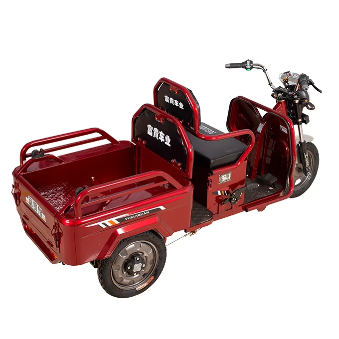 Small 3 Wheel  Electric Passenger and Cargo Tricycle Electric