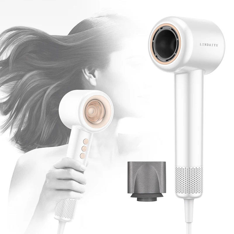 LDY High Speed Hair Dryer 220V Home Hairdryer Negative Ion Hair Care Professinal Powerful Quick Dry Constant Anion