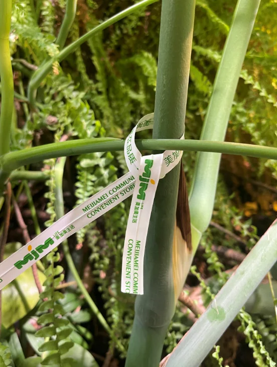 Horticulture New Product Vegetable and Fruit Twist Tie Customized printed Vegetables package