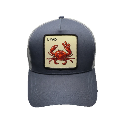 Delta Sigma Theta Embroidered Visor Cotton Outdoor Sport Beach Running Golf Visor Hat