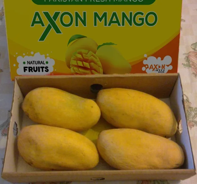 
china mango production in india 
