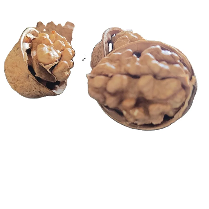 Newest Crop Best Color  Thin Shell  Walnuts Xinar  type Walnuts  With Shell and Without Shell Walnuts Kernels