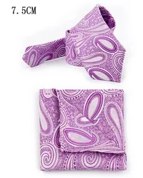 Men Polyester Ties 3inch with Pocket Square Set Fashion Mens Necktie Corbatas Neckwear Wedding Business Jacquard Gravatas