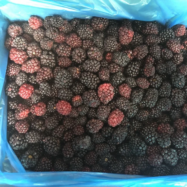 Новый сезон 2022, Blackberry IQF, оптовая продажа, Замороженные Ягоды, первоклассная пищевая служба Blackberry