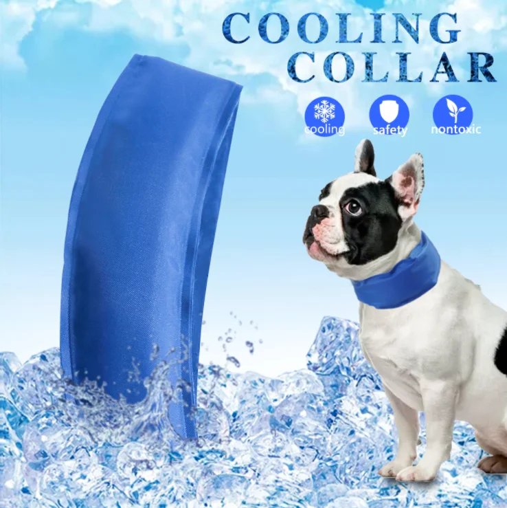 Amazon  Sunstroke Prevention Summer Cat Self Cooling Neck Collar Gel Material Pet Dog Cooling Collars