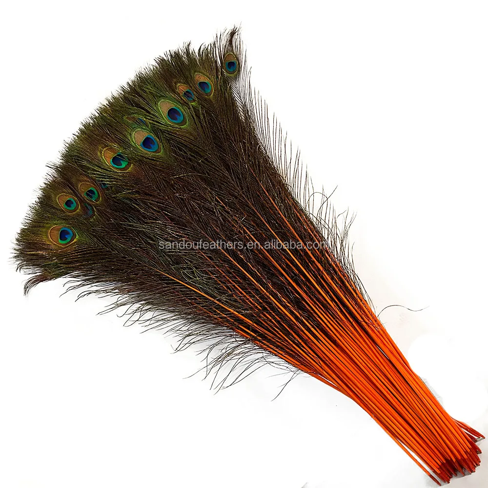 Wholesale orange peacock feather direct dyed peacock feather  carnival peacock clothes