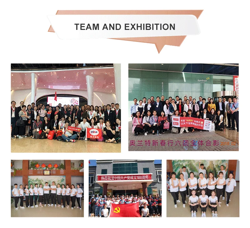 Высококачественный тонкокожный китайский Орех Xin Er, мытый и немытый