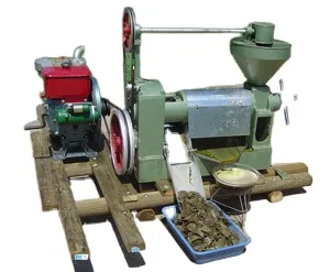 screw oil press 6YL-80 for oil making