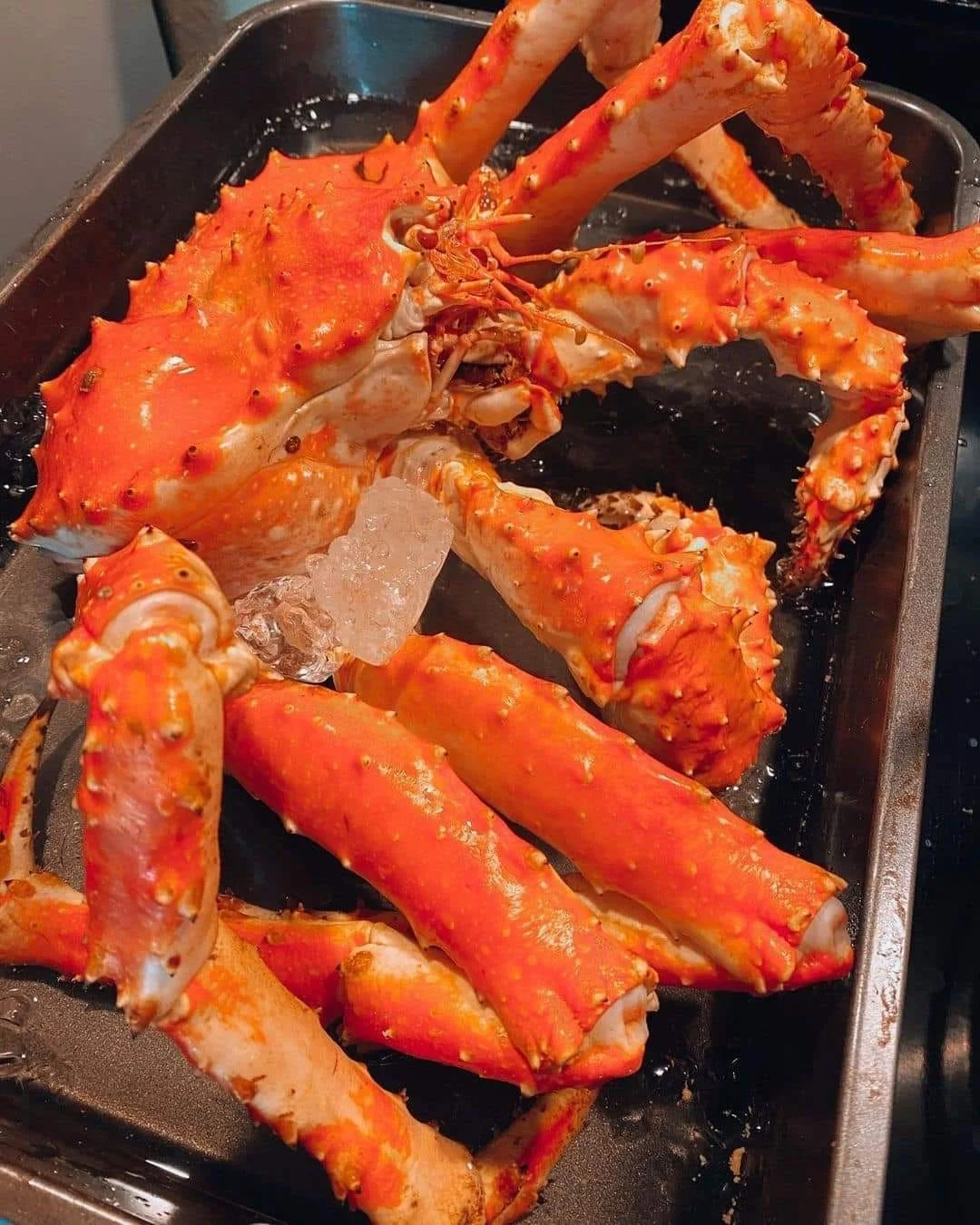 King Crab Red King Crab Live and Frozen Red King Crab for Sale IQF Frozen from ZA 12 Kg 10kg/ctn Packaging with 18 Shelf Life