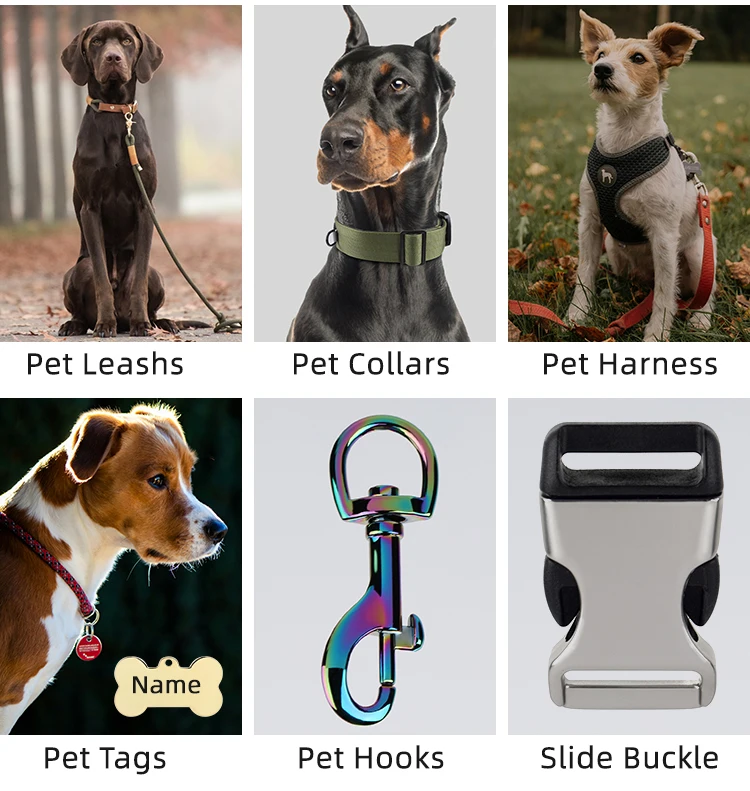 D12 Zinc Alloy Metal D Ring Buckle Adjustable Metal Ring with Screw for Pet Harness