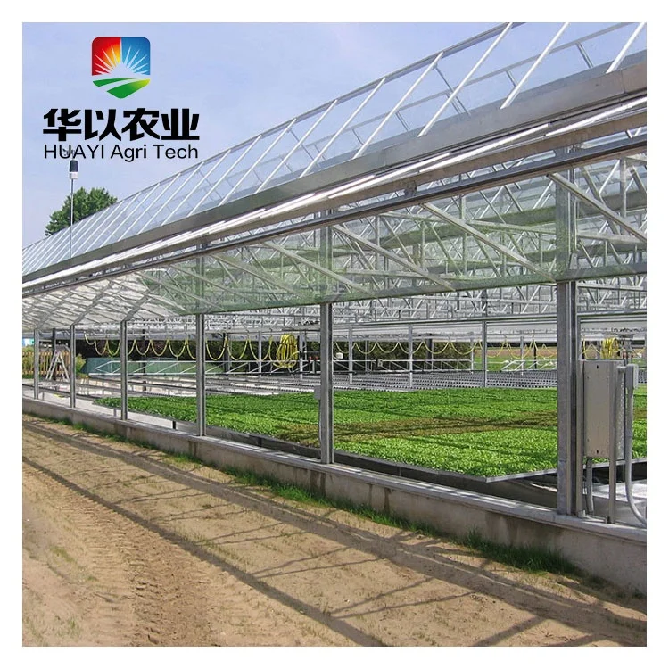 Wholesale Intelligent Climate Control System Glass Dome House Glass house Other Greenhouses For Vegetables/Flowers