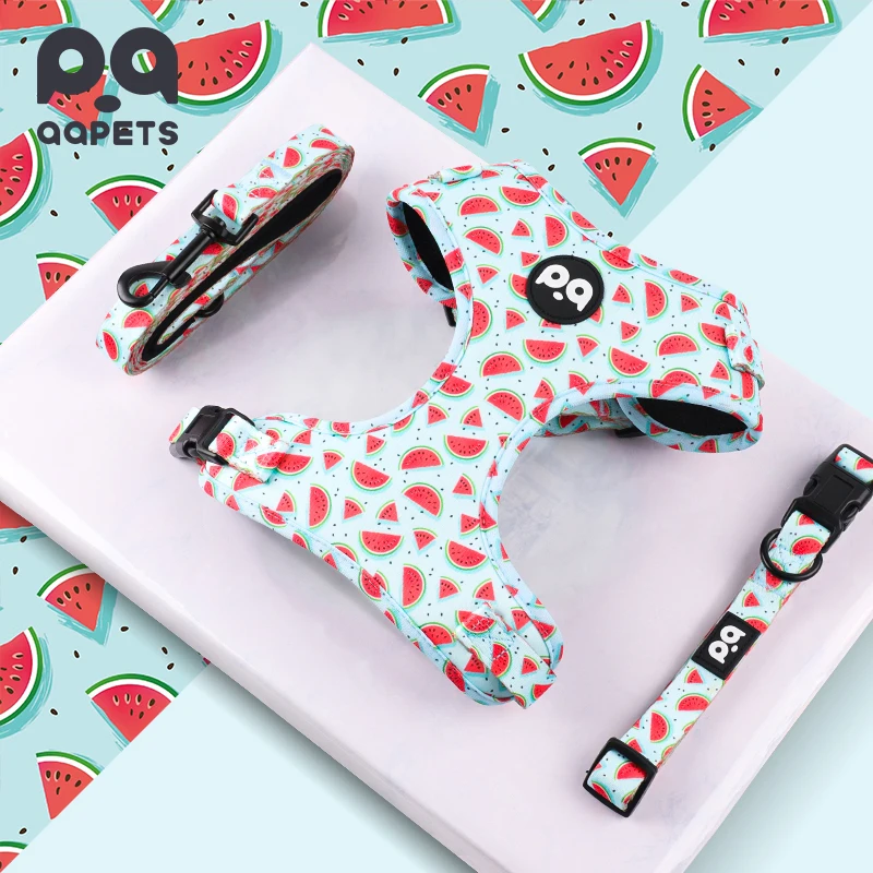 QQPETS принадлежности для домашних животных и аксессуары собак Регулируемый Логотип персонализированный без вытягивания поводок набор поводков