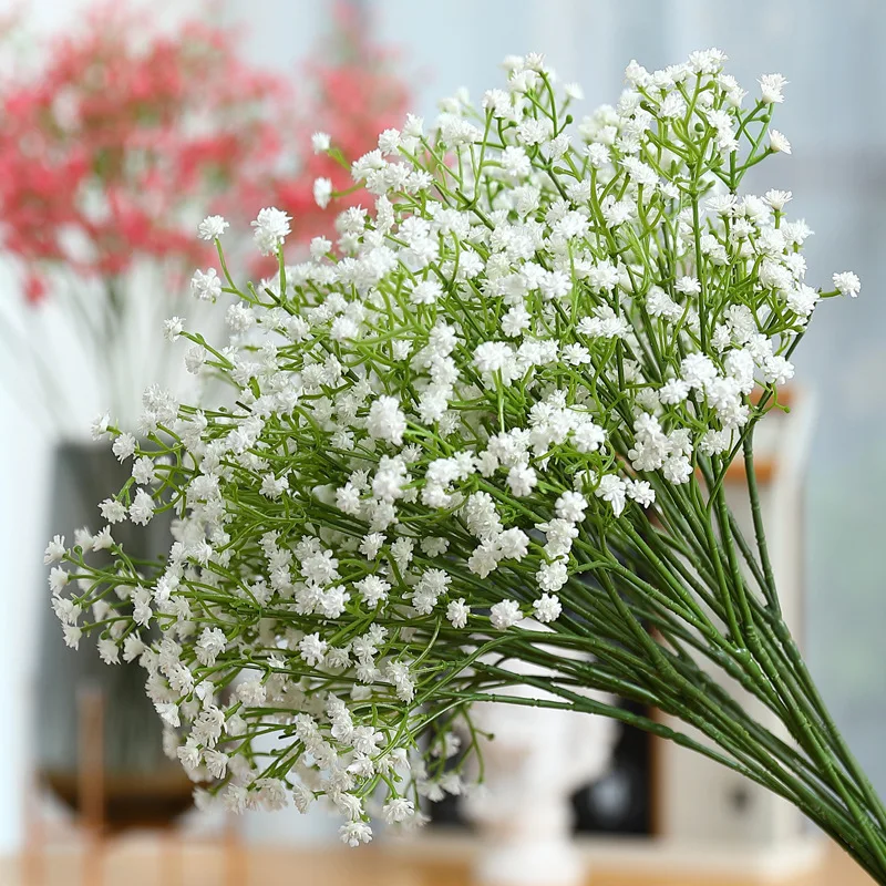 Gypsophila flower