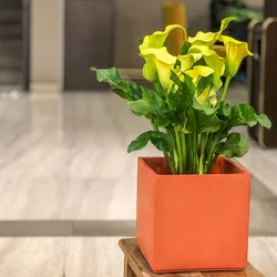 Wholesale Cheap Competitive Price Home Decoration Garden Inside Big Size Flowers Pots