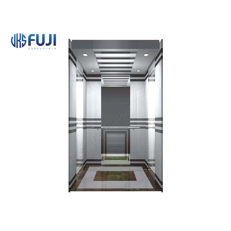 Simple Atmosphere Passenger 2 Person Mini VKS Fuji Elevator China Elevator For Stairs