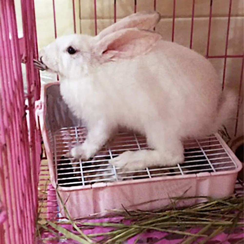 Bunny Litter Box with Grate Rabbit Corner Litter Pan  for Guinea Pig Ferrets Chinchilla