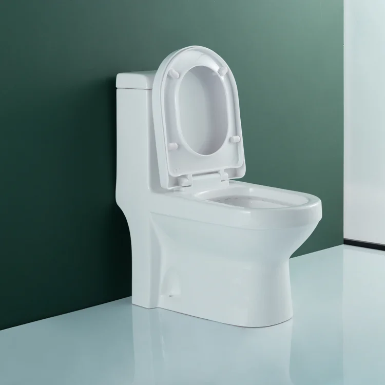 WDSI Bathroom Water Closet Set Dry Toilet Toilets Elongated