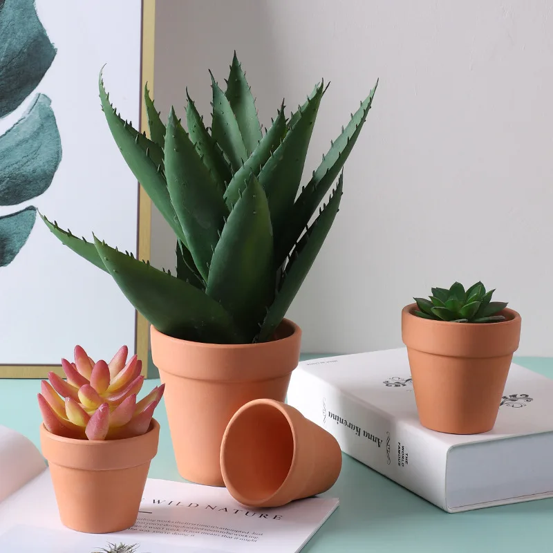 Red Terracotta Planter Cactus Succulent Nursery Flower Pots